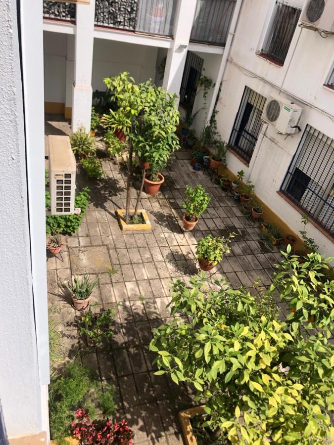 Apartamento Plaza Santa Lucia Renovado Febrero 2025 Sevilla Bagian luar foto